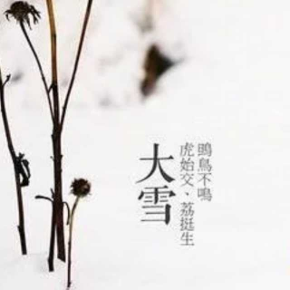 聆听二十四节气之大雪