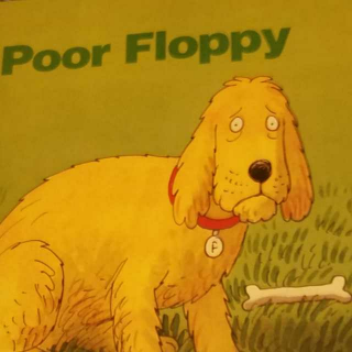 14 Poor Floppy