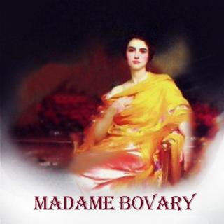 包法利夫人Madame Bovary 1(4)
