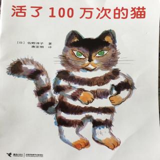 活了100万次的猫