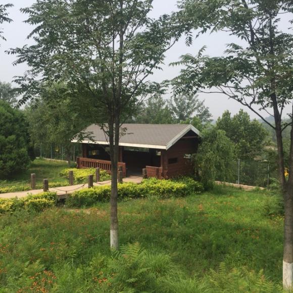 早上,多美好的时光 樊发稼