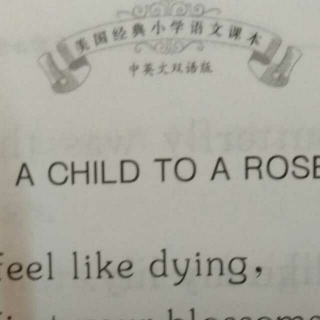 美国小学语文第二册 A CHILD TO ROSE 