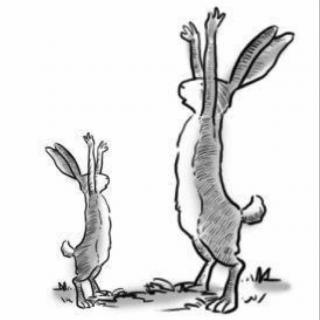 大兔子和小兔子