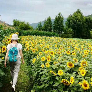 旅行专访丨回到熟悉的远方-沙溪