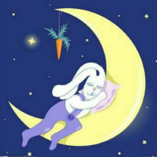 第一百一十七期～月亮里的小兔子