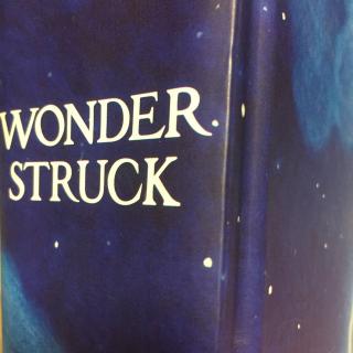 小树讲故事  WonderStruck第二集