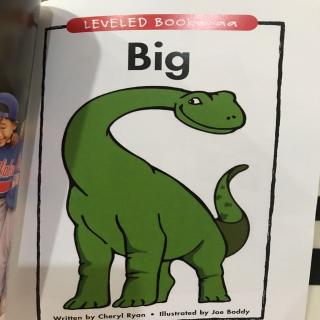 Big