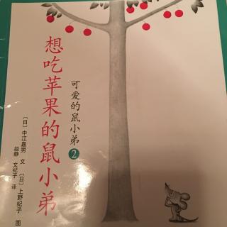 想吃苹果的鼠小弟