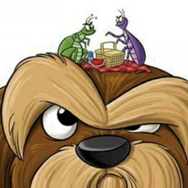 睡前故事【跳蚤打败狮子】