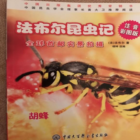 昆虫记 胡蜂(2)