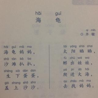 《日有所诵》之《海龟》