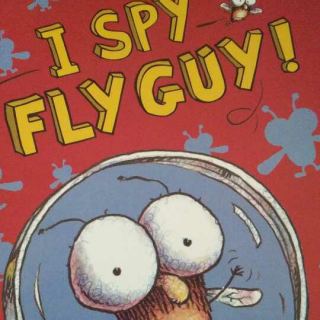 I SPY FLY GUY