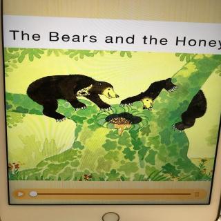 100:the bears and the honey