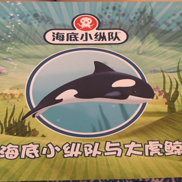 海底小纵队2-大虎鲸
