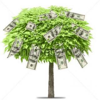 口语天天练money doesn't grow on trees