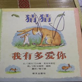 《猜猜我有多爱你》