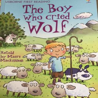 Usborne Young Reading: The Boy who cried Wolf