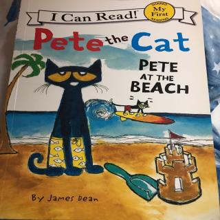 Pete the cat at the beach