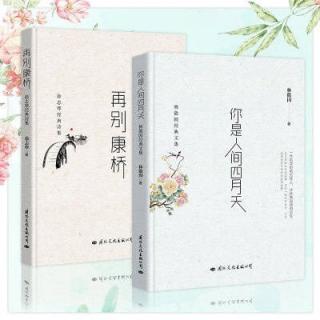 林徽因：用一辈子的飞翔，换来世人仰望（下）