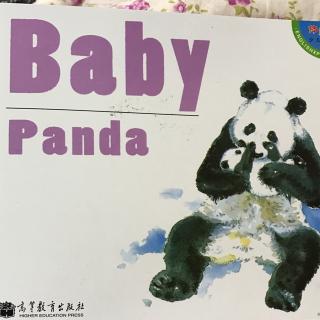 《baby panda》20170817