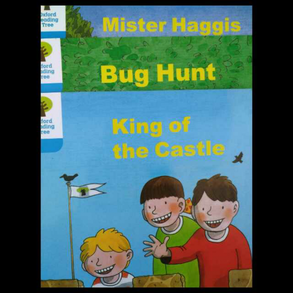 牛津阅读树dd3(7一9)