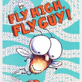 Fly high fly guy