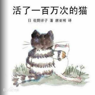 活了一百万次的猫