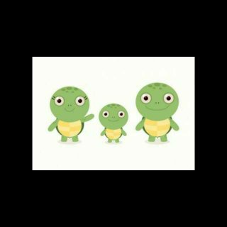三只小乌龟