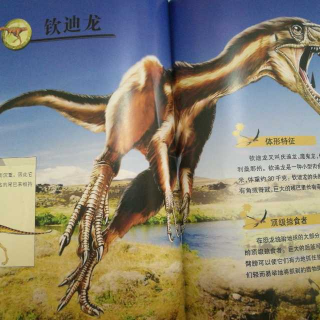 恐龙系列《钦迪龙，异平齿龙》