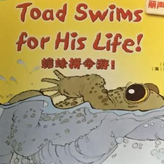 Toad swims for His Life！