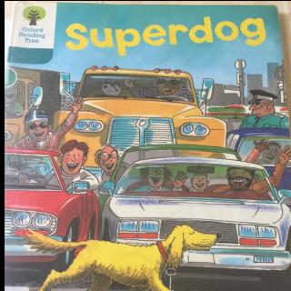Day59 Superdog