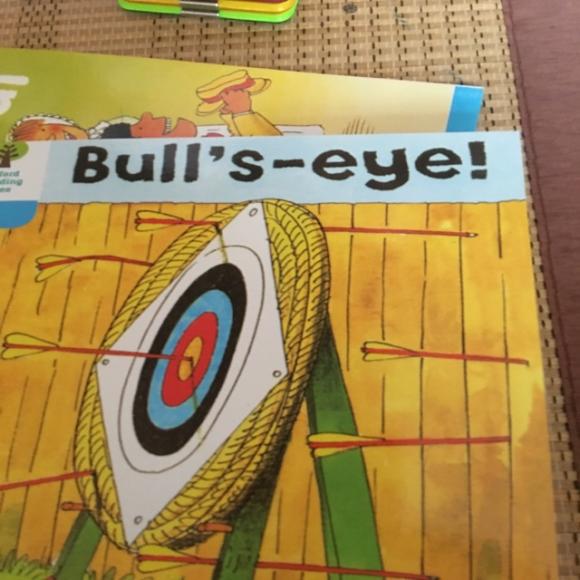 bull seye