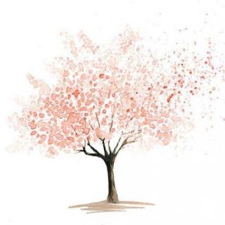 诗意生活 8-一棵开花的树（中日双语）席慕蓉