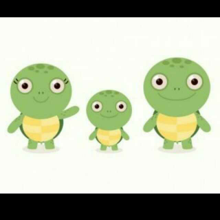 三只小乌龟