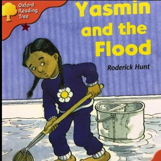 20170820 Yasmin and the flood