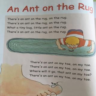 An Ant on the Rug Part1