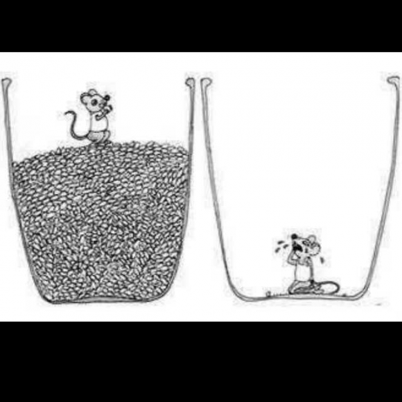 《如果你讨厌现在的这个圈子,请努力跳出去》