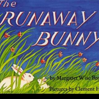 Runaway Bunny