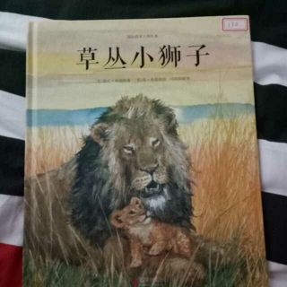 绘本故事《草丛小狮子》