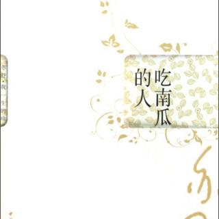 《吃南瓜的人》作者：亦舒  第九章（结局）