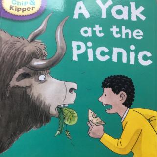 8.10 A Yak at the Picnic