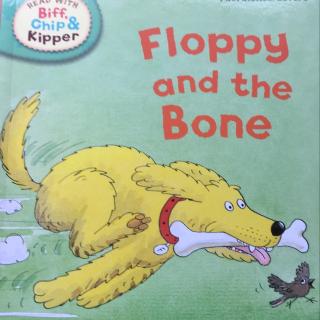 8.4 Floppy and the Bone