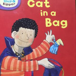 8.8 Cat in a Bag