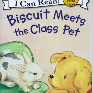 20170821 Biscuit meets the class pet