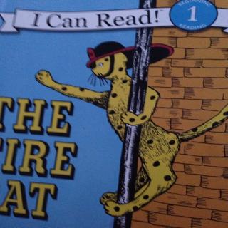 l can read1-the fire cat-20170821