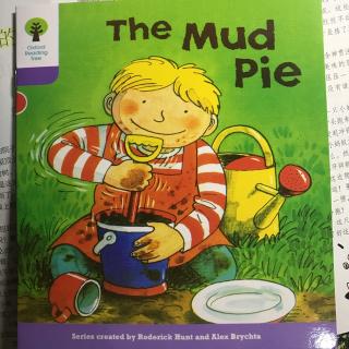 复习The mud pie