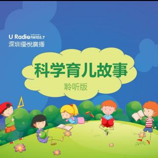 《礼仪常识系列》道歉的时候一定要说一声对不起