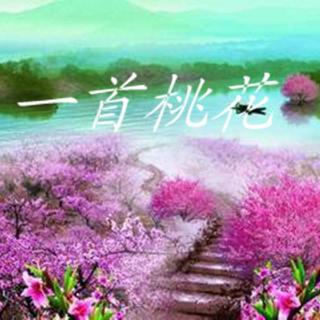 《一首桃花》作者 林徽因 朗诵马踏飞燕