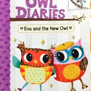 16-2. Owl Diary - Eva and the new owl (2/2)