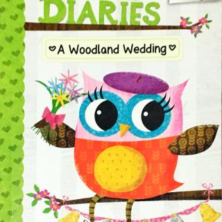 17. Owl Diaries - A woodland wedding